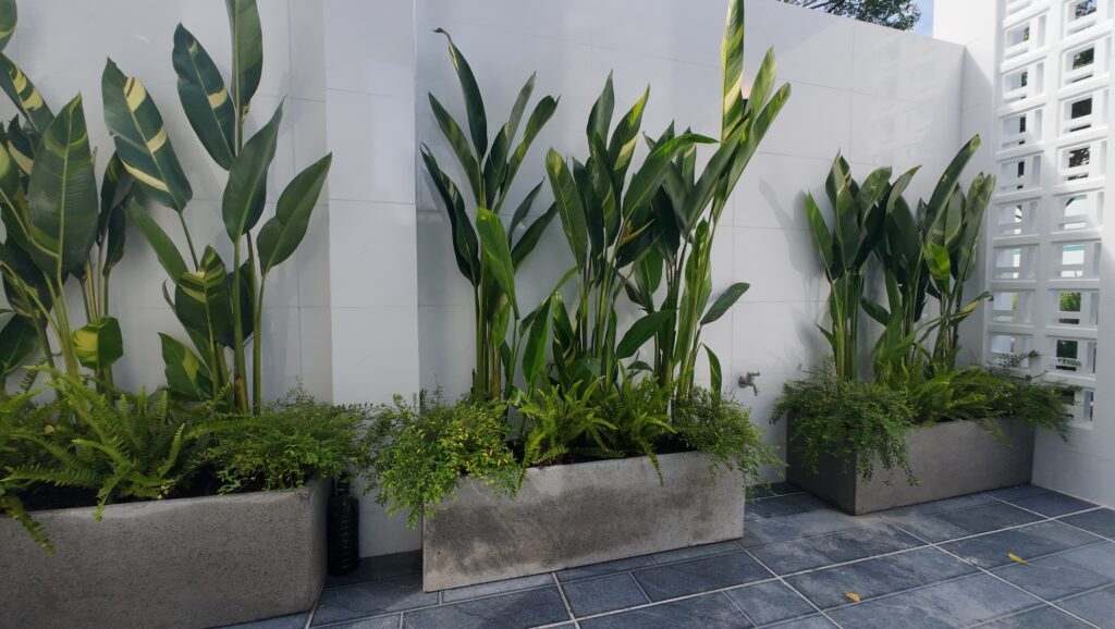 DJI 20250807092213 0182 D