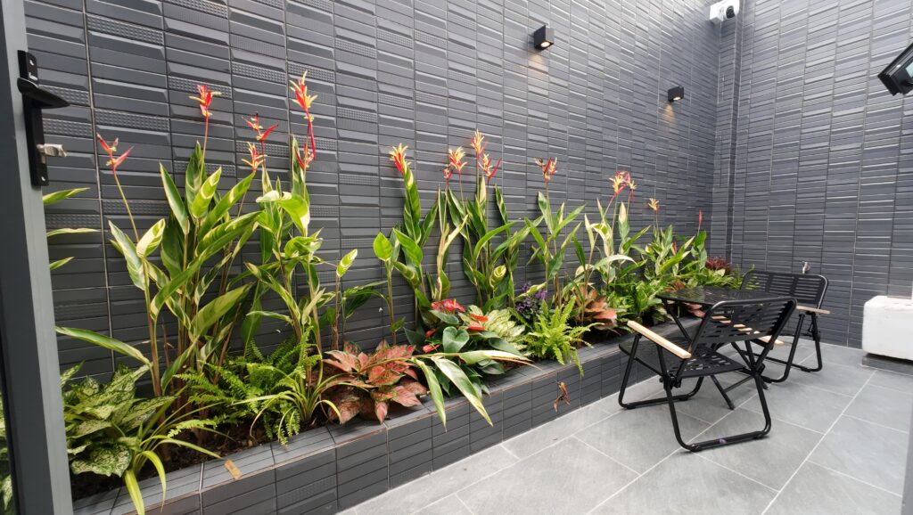 BÀN GIAO NHÀ PHỐ HIỆN ĐẠI Ở ĐƯỜNG SỐ 9 KDC MINH THẮNG P9 TP CÀ MAU 12 DJI 20251120092843 0090 D